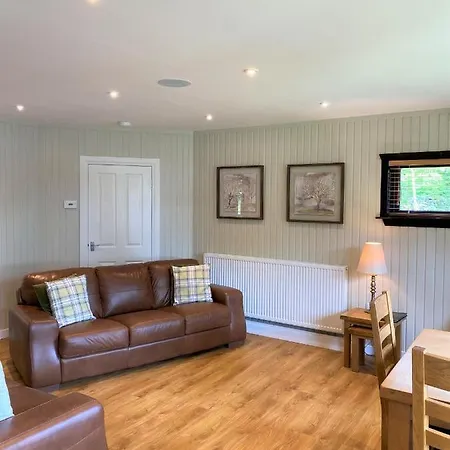 Birch Lodge 18 With Hot Tub Newton Stewart Exterior photo